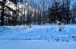 Brizzee Hollow, Genesee, PA 16923