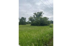 15040 NORTH STREET, THOMPSONVILLE, MI 49683