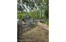 165 W Camp Road, Saugerties, NY 12477