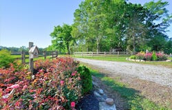 833 Duncan Creek Church Road, Laurens, SC 29360