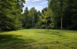Rocky Fork Road, Rockbridge, OH 43149