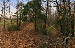 Old Highway 60, Mountain View, MO 65548
