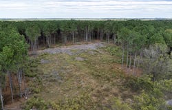 Wolf Road, Pittsburg, TX 75686