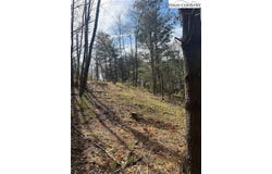 101 Pleasant Home Road, Sparta, NC 28675