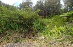 Volcano, HI 96785