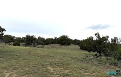 22 RUNNING BEAR Cir, Quemado, NM 87829