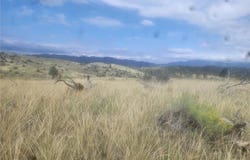 000 E Path, Cotopaxi, CO 81223
