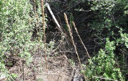 10445 & 3 NM 337 Highway, Tijeras, NM 87059