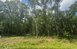 BENNETT Road, AMBERG, WI 54102