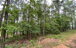 25 Pitchford Crt, Alexander City, AL 35010