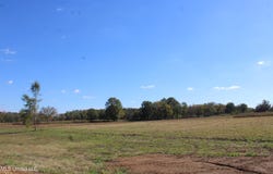 37 Pin Oak Road, Michigan City, MS 38647