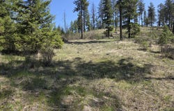 2593 BURNT VALLEY RD, CHEWELAH, WA 99109