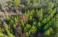 25 Painted Bunting Trail, Smithville, OK 74957