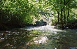 22.80+/- acres County Highway 26, Blountsville, AL 35031