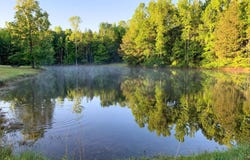 102 +/- Acres - Old Zebulon, Molena, GA 30258