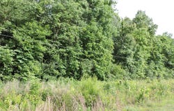 00 Mobile Road, Greenville, AL 36037