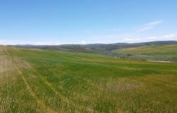 TBD County Road 29, Craig, CO 81625