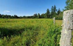 299 Centerville Road, Columbia Falls, ME 04623