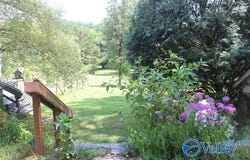 132 Winston Drive, Valley Head, AL 35989