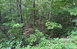 Cardinal Circle, Tryon, NC 28782