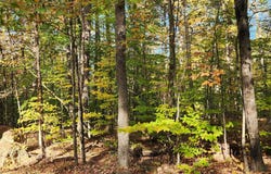 0 Signor Lane, Jay, NY 12941