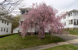 84 Putnam Street, Bristol, CT 06010