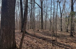PAYNES POND RD, ARVONIA, VA 23004