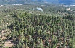 159 Buck Ln, Hayfork, CA 96041
