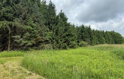 00 Silverthorn Rd, Edinboro, PA 16412