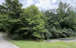 999 mcdonalds Lane, Heidrick, KY 40949