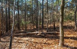 Old Douglass Road unit: 3, Blackstock, SC 29014