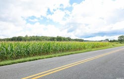 Tract 12 County Road 26, Goshen, IN 46528