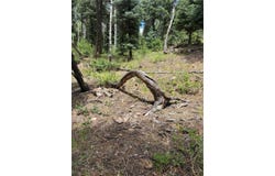 Tbd SPRUCE TRAIL LOT 3, Chama, NM 87520