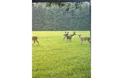 East 20 Acres W Poertner Road, Neillsville, WI 54456