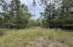 TBD 211TH COURT, Live Oak, FL 32060