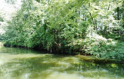 0 Orlea Ln, Tuscaloosa, AL 35475