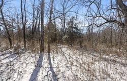 000 W Farm Road 94, Springfield, MO 65803