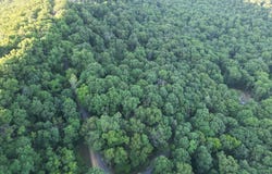 ROLLY RD, MOUNT JACKSON, VA 22842