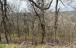000 W Big Rock Road, Park Hill, OK 74451