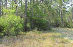Lucy Lane, Panacea, FL 32346