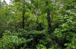 0 SR 13, Glouster, OH 45732
