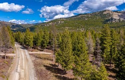 1583 Wild Bill Road lot: 4, Kila, MT 59920