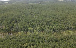 Johnston Highway, Trenton, SC 29847