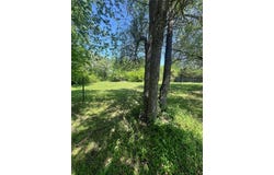 411 Stadium Lane, Van, TX 75790