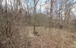 Xxx 690th Street, Martell Twp, WI 54022