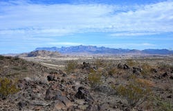 FM 170, Terlingua, TX 79852