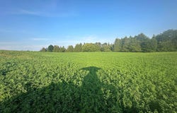 Co Rd 358, Daggett, MI 49821
