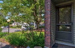 236 Brown Bear Xing, Acton, MA 01718