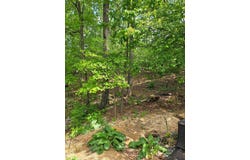 0 RIDGE VIEW LN, ELKTON, VA 22827