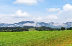 5130 Cedar Creek Road, Greeneville, TN 37743